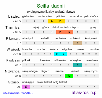 ekologiczne liczby wskaźnikowe Scilla kladnii (cebulica trójlistna)