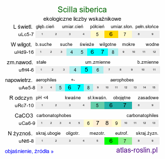 ekologiczne liczby wskaźnikowe Scilla sibirica orth.var. (cebulica syberyjska)