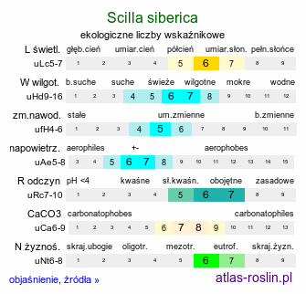 ekologiczne liczby wskaźnikowe Scilla siberica (cebulica syberyjska)