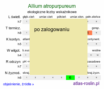 ekologiczne liczby wskaźnikowe Allium atropurpureum (czosnek purpurowy)