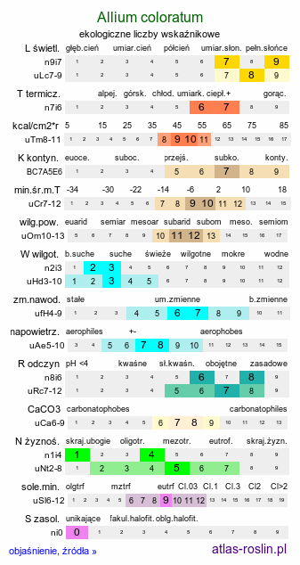 ekologiczne liczby wskaźnikowe Allium coloratum (czosnek nadobny)