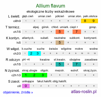 ekologiczne liczby wskaźnikowe Allium flavum (czosnek złocisty)