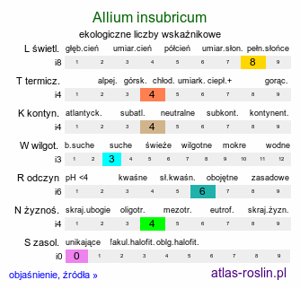 ekologiczne liczby wskaźnikowe Allium insubricum (czosnek insubryjski)