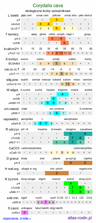 ekologiczne liczby wskaźnikowe Corydalis cava (kokorycz pusta)