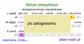 ekologiczne liczby wskaÅºnikowe Allium oreophilum (czosnek Ostrowskiego)