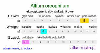 ekologiczne liczby wskaźnikowe Allium oreophilum (czosnek Ostrowskiego)