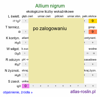 ekologiczne liczby wskaźnikowe Allium nigrum (czosnek osobliwy)