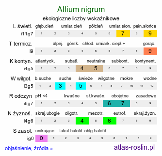 ekologiczne liczby wskaźnikowe Allium nigrum (czosnek osobliwy)