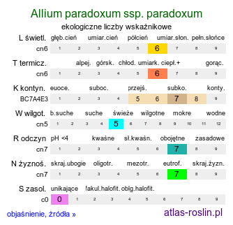 ekologiczne liczby wskaźnikowe Allium paradoxum var. paradoxum (czosnek dziwny typowy)