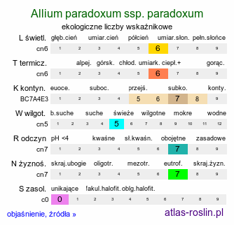 ekologiczne liczby wskaźnikowe Allium paradoxum ssp. paradoxum (czosnek dziwny typowy)