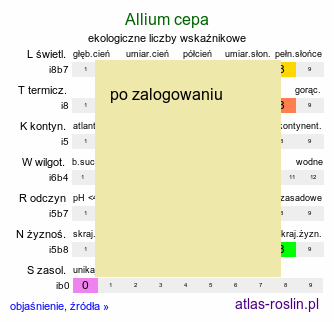 ekologiczne liczby wskaźnikowe Allium cepa (czosnek cebula)