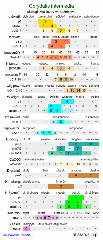 ekologiczne liczby wskaźnikowe Corydalis intermedia (kokorycz wątła)