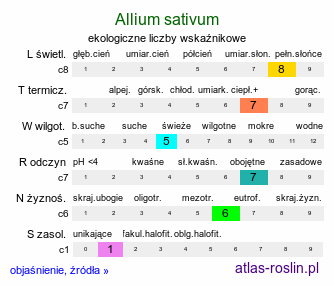 ekologiczne liczby wskaźnikowe Allium sativum (czosnek pospolity)