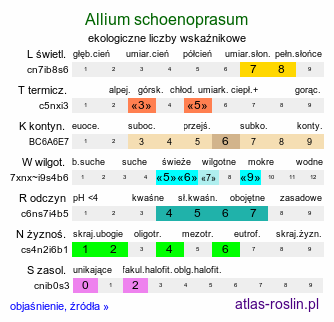 ekologiczne liczby wskaźnikowe Allium schoenoprasum (czosnek szczypiorek)