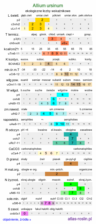 ekologiczne liczby wskaźnikowe Allium ursinum (czosnek niedźwiedzi)