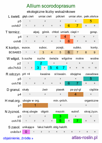 ekologiczne liczby wskaźnikowe Allium scorodoprasum (czosnek wężowy)