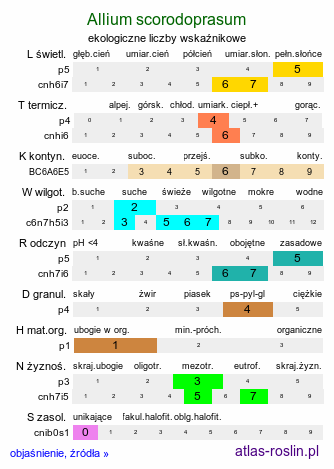 ekologiczne liczby wskaźnikowe Allium scorodoprasum (czosnek wężowy)