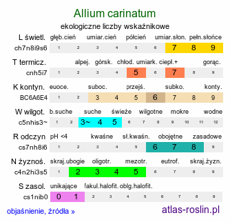 ekologiczne liczby wskaźnikowe Allium carinatum (czosnek grzebieniasty)