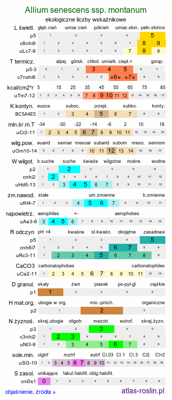 ekologiczne liczby wskaźnikowe Allium senescens ssp. montanum (czosnek skalny)