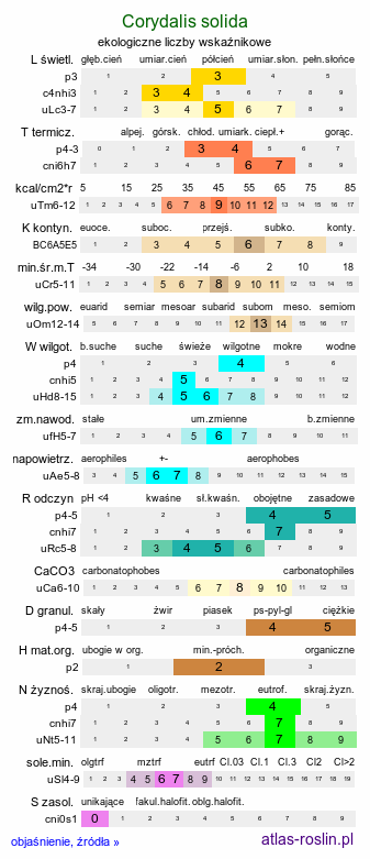 ekologiczne liczby wskaźnikowe Corydalis solida (kokorycz pełna)