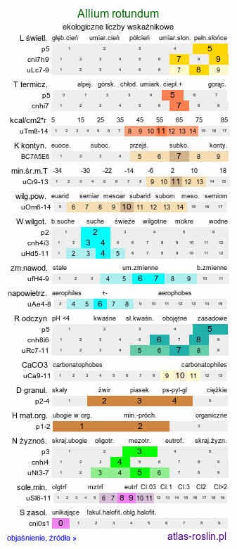 ekologiczne liczby wskaźnikowe Allium rotundum (czosnek kulisty)