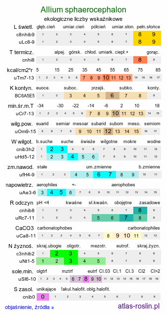 ekologiczne liczby wskaźnikowe Allium sphaerocephalon (czosnek główkowaty)