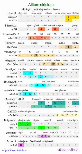 ekologiczne liczby wskaźnikowe Allium strictum (czosnek sztywny)