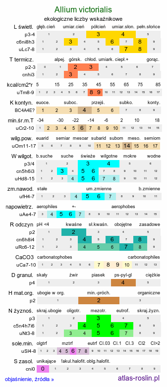 ekologiczne liczby wskaźnikowe Allium victorialis (czosnek siatkowaty)