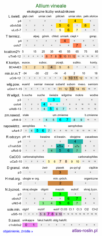 ekologiczne liczby wskaźnikowe Allium vineale (czosnek winnicowy)