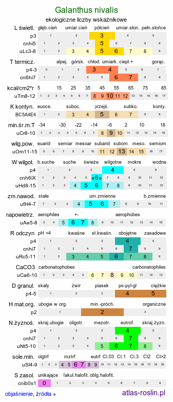ekologiczne liczby wskaźnikowe Galanthus nivalis (śnieżyczka przebiśnieg)