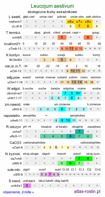 ekologiczne liczby wskaźnikowe Leucojum aestivum (śnieżyca letnia)