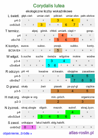 ekologiczne liczby wskaźnikowe Corydalis lutea (kokorycz żółta)