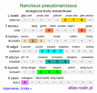 ekologiczne liczby wskaźnikowe Narcissus pseudonarcissus (narcyz trąbkowy)