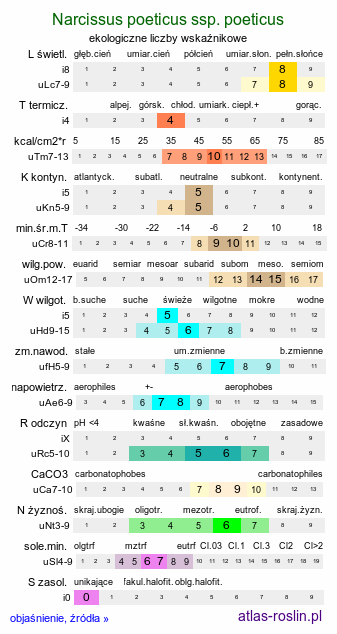 ekologiczne liczby wskaźnikowe Narcissus poeticus ssp. poeticus (narcyz biały)