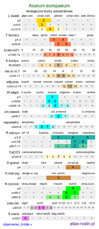 ekologiczne liczby wskaźnikowe Asarum europaeum (kopytnik pospolity)