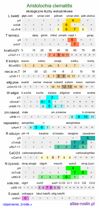 ekologiczne liczby wskaźnikowe Aristolochia clematitis (kokornak powojnikowy)