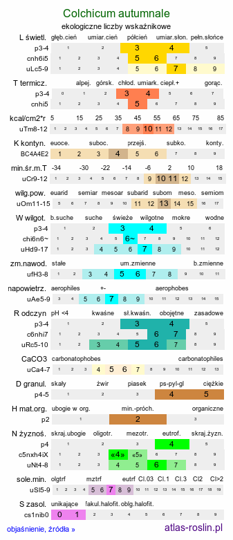 ekologiczne liczby wskaźnikowe Colchicum autumnale (zimowit jesienny)