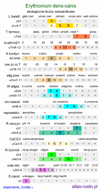 ekologiczne liczby wskaźnikowe Erythronium dens-canis (psiząb liliowy)