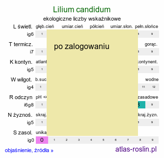 ekologiczne liczby wskaźnikowe Lilium candidum (lilia biała)
