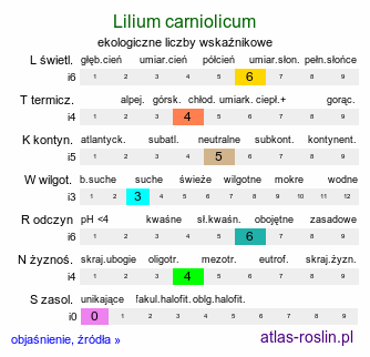 ekologiczne liczby wskaźnikowe Lilium carniolicum (lilia kraińska)