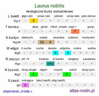 ekologiczne liczby wskaźnikowe Laurus nobilis (wawrzyn szlachetny)