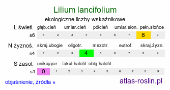 ekologiczne liczby wskaźnikowe Lilium lancifolium (lilia tygrysia)