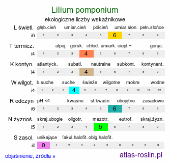 ekologiczne liczby wskaźnikowe Lilium pomponium (lilia przepyszna)