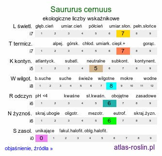 ekologiczne liczby wskaźnikowe Saururus cernuus (jaszczurzec zwisły)