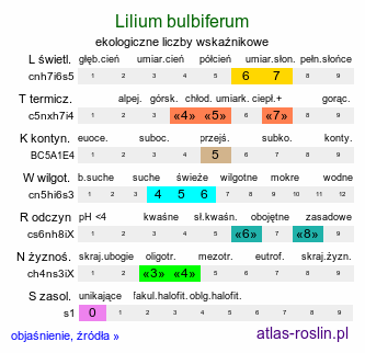 ekologiczne liczby wskaźnikowe Lilium bulbiferum (lilia bulwkowata)