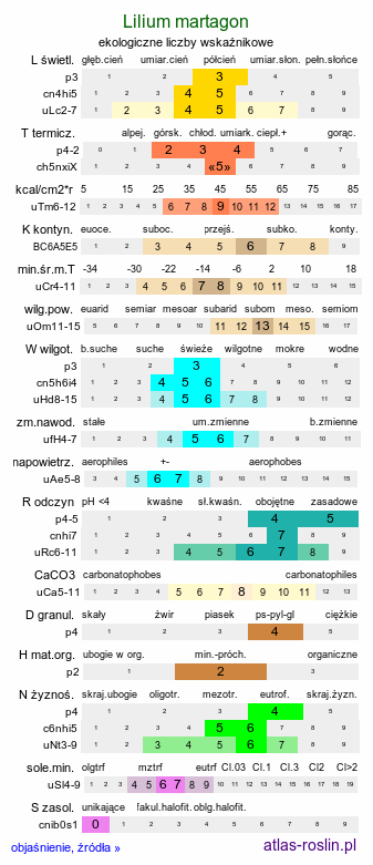 ekologiczne liczby wskaźnikowe Lilium martagon (lilia złotogłów)