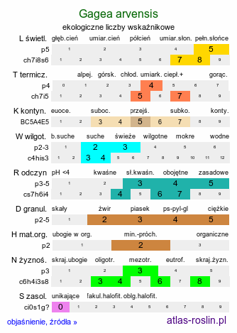 ekologiczne liczby wskaźnikowe Gagea arvensis (złoć polna)