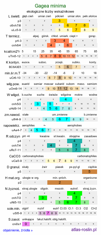 ekologiczne liczby wskaźnikowe Gagea minima (złoć mała)