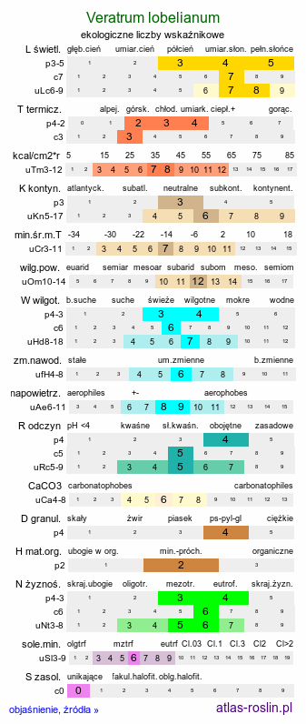 ekologiczne liczby wskaźnikowe Veratrum lobelianum (ciemiężyca zielona)