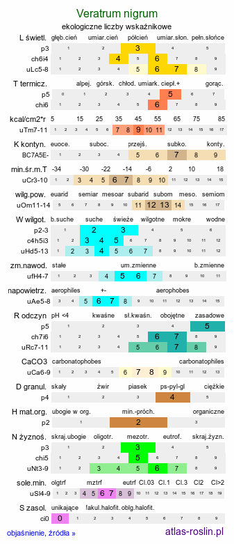 ekologiczne liczby wskaźnikowe Veratrum nigrum (ciemiężyca czarna)